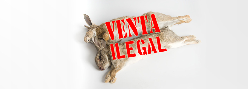 Agacharse Incompatible Cilios Venta de conejos de caza sin controles sanitarios