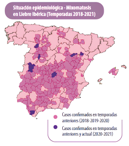 MIXOMATOSIS EN LIEBRES